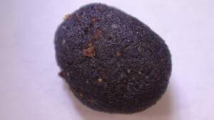 КОМБО(ск0,5+тв2)